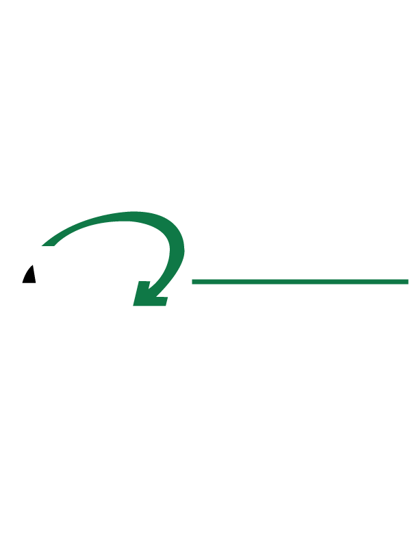 Advanced Logistics Warehouse